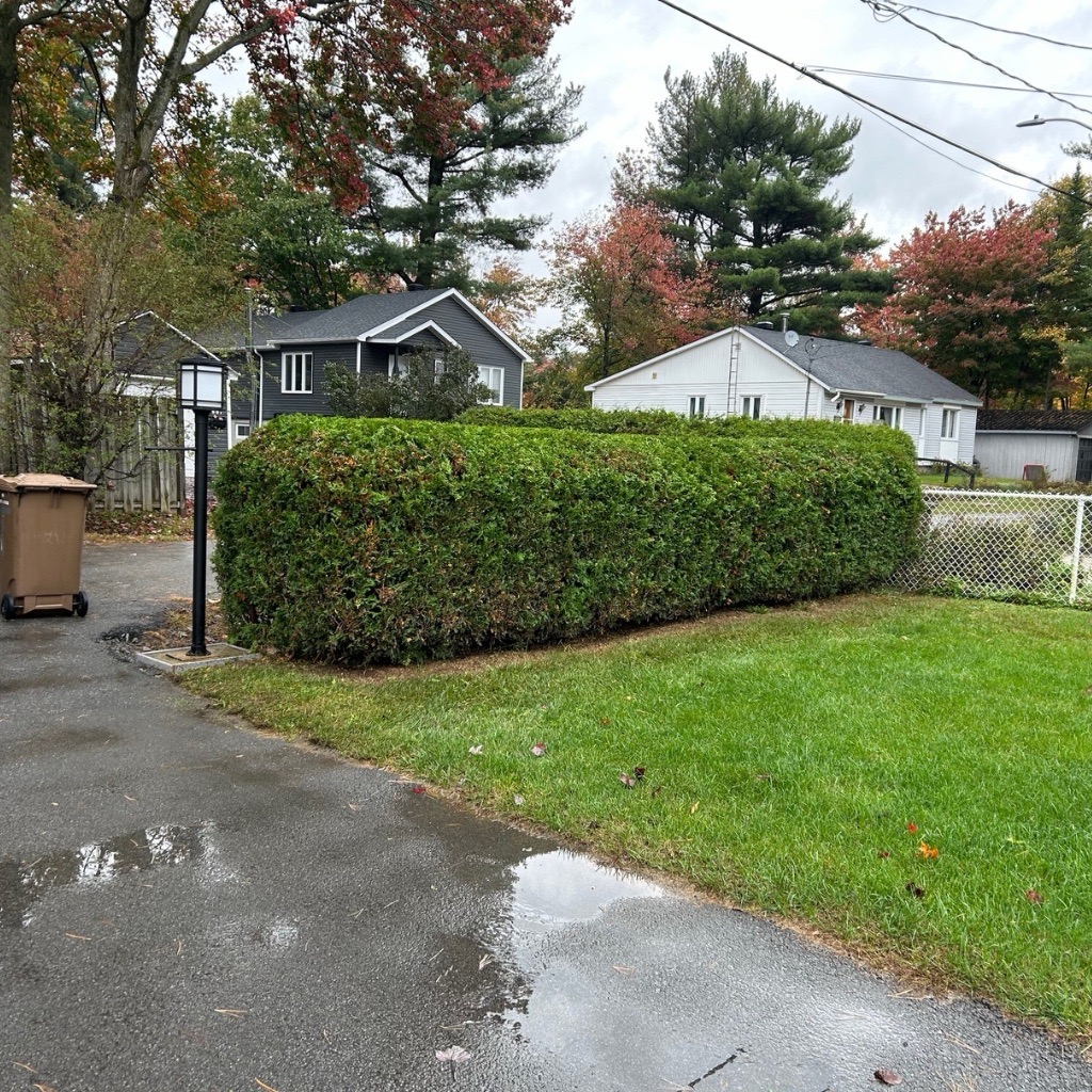 Entretiens Gazon Giroux photo 8