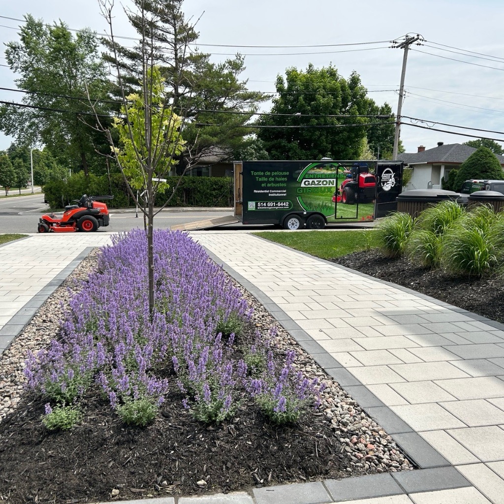 Design sans titre - 7