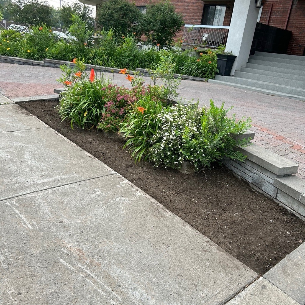 Design sans titre - 8